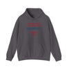 Gray hooded sweatshirt with fun message about being a dad, featuring a kangaroo pouch pocket and adjustable drawstring hood.