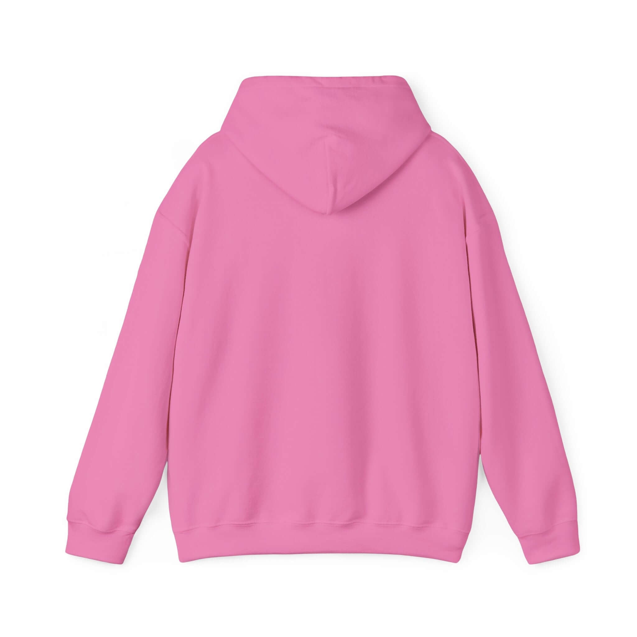 Back view of vibrant pink World's Greatest Player Hooded Sweatshirt with a cozy, casual design for comfort and style.